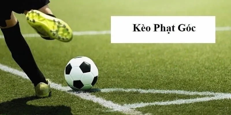 Bí Kíp Soi Kèo Phạt Góc Chuẩn Xác Từ Chuyên Gia Cá Cược